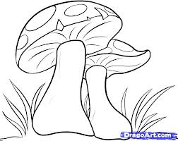252x200 Mushroom Drawing