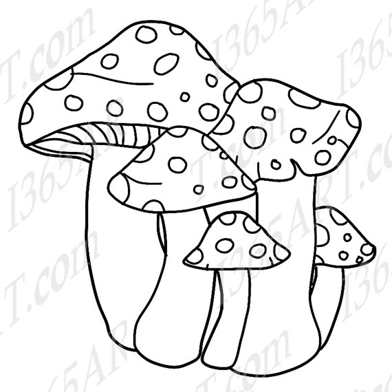 570x570 50% Off Spotted Mushrooms Clipart Mushroom Clip Art