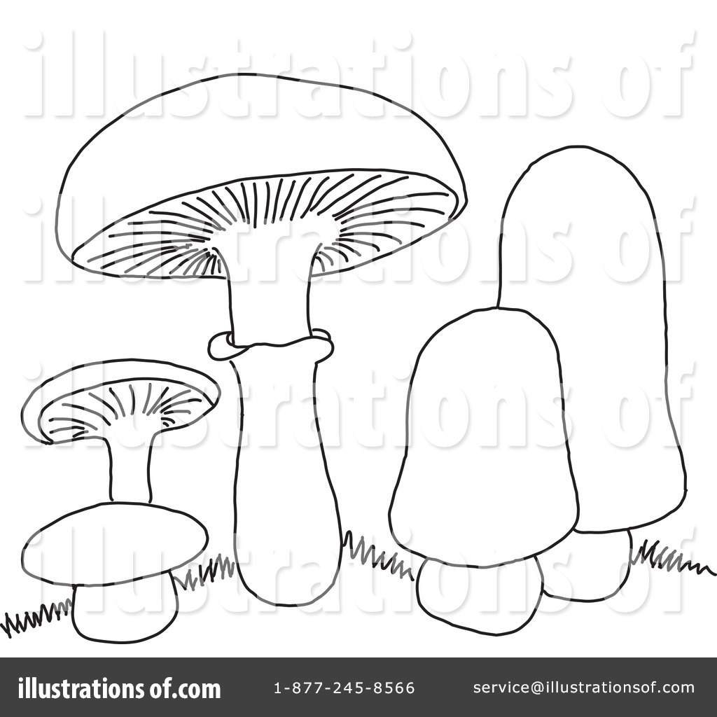 1024x1024 Mushroom Clipart