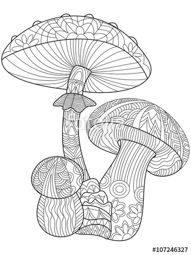 375x500 Mushroom Coloring For Adults Tangled Mushrooms