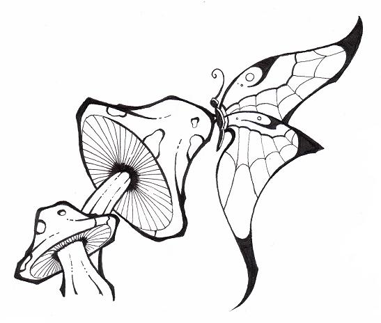 547x464 Pencil Drawings Of Mushrooms Drawings Of Mushrooms Mushrooms