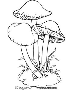 236x295 Toadstools Coloring Page Adult Coloring, Coloring Books