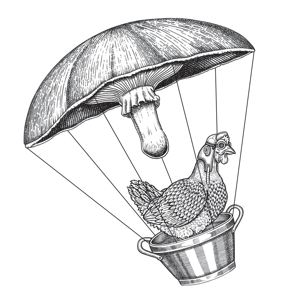 1000x1000 Chris Burge Illustration