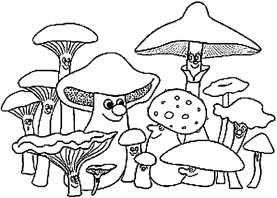 558x400 Mushrooms Coloring Page