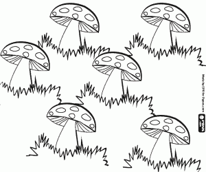 300x250 Mushrooms Coloring Pages Printable Games