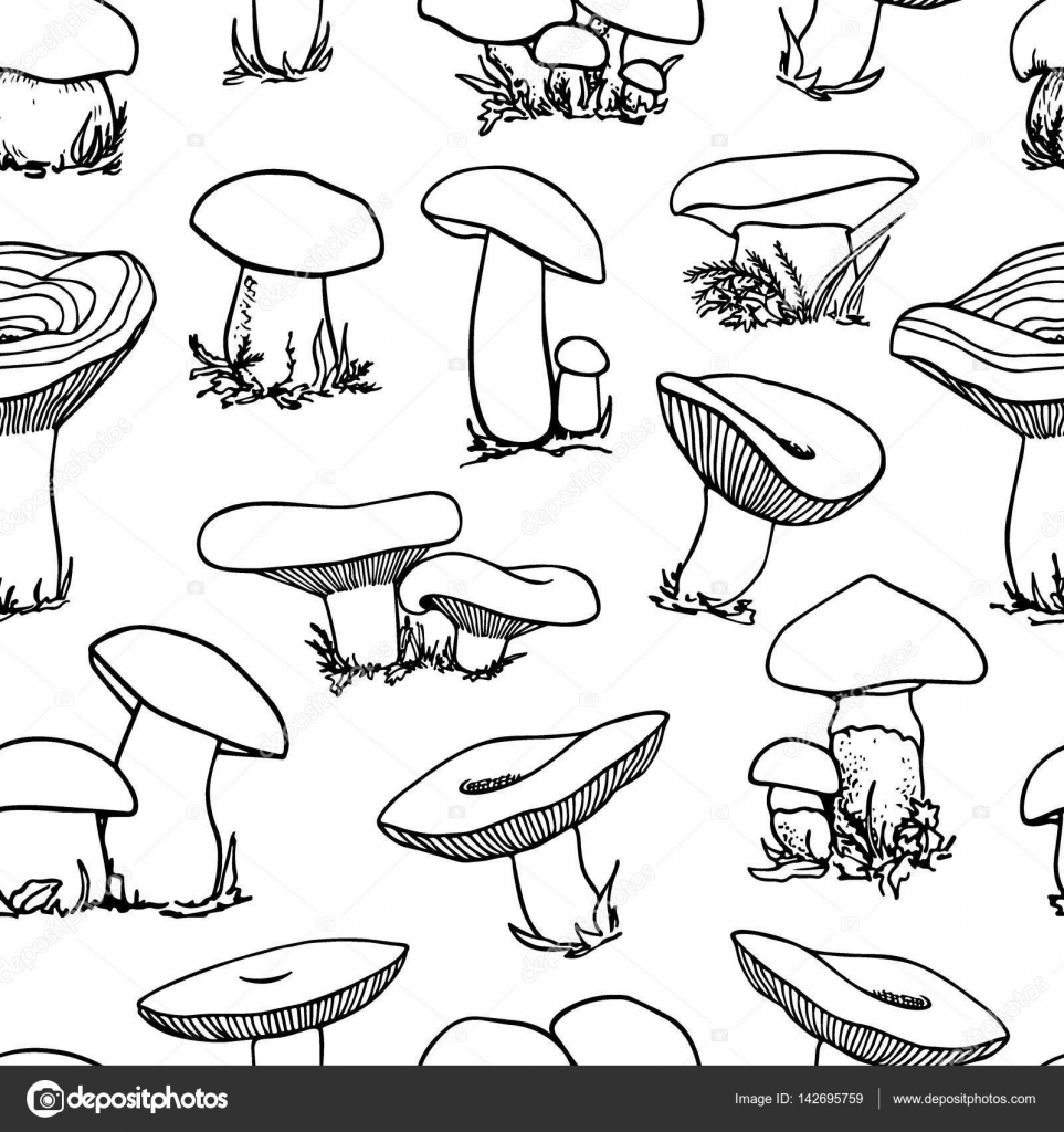 963x1024 Mushrooms Seamless Pattern Stock Vector Ezhevica