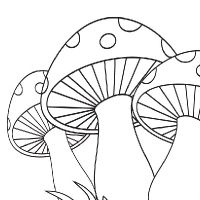 200x200 Coloring Mushroom Cool Mushrooms, Drawings