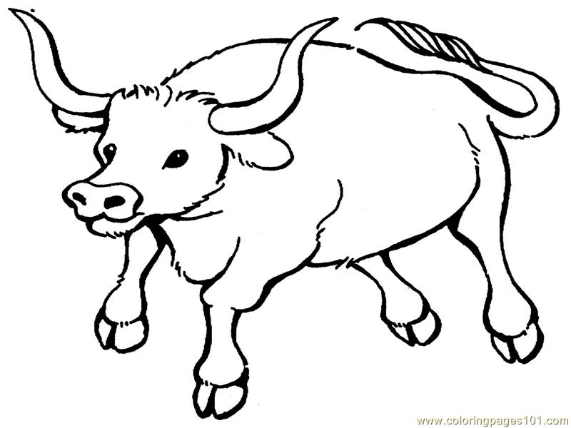 800x600 Bull Coloring Page Free Bull Coloring Pages Coloringpages101 Ox