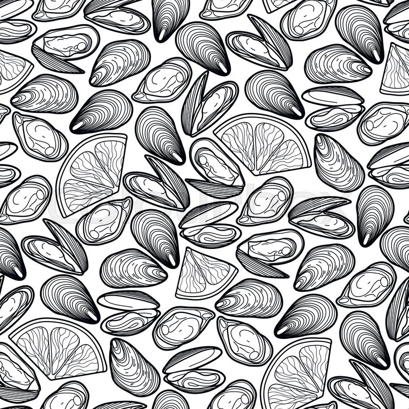 800x800 Graphic Vector Mussels Drawn In Line Art Style. Sea And Ocean