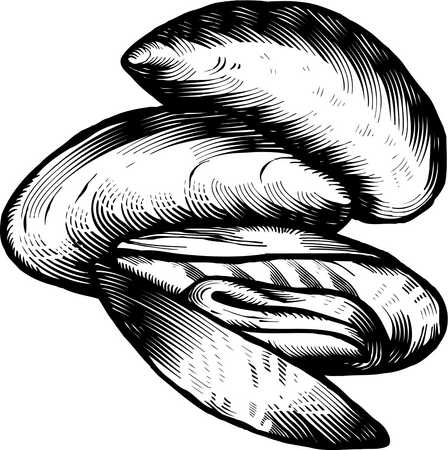 448x450 Stock Illustration