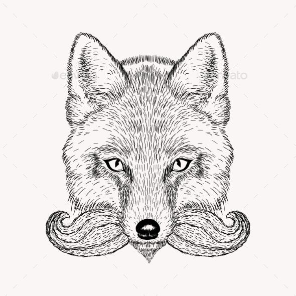 590x590 Fox With A Beard And Mustache,art, Background, Black, Brown