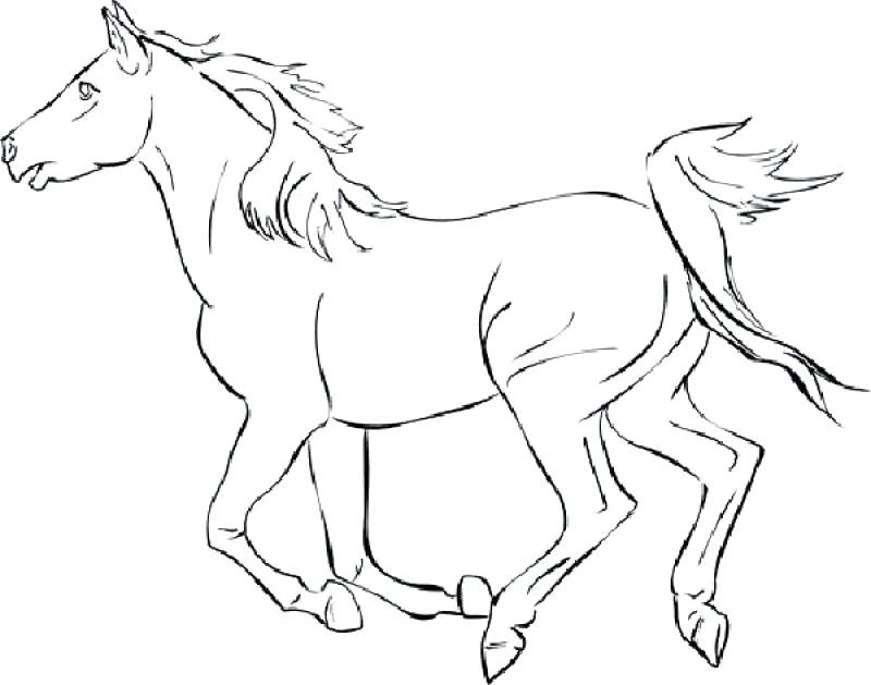 800x629 Complete Free Horse Coloring Pages Download Mustang 1 Printable