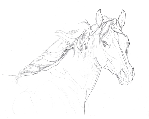 500x398 How To Draw With A Drawing Grid