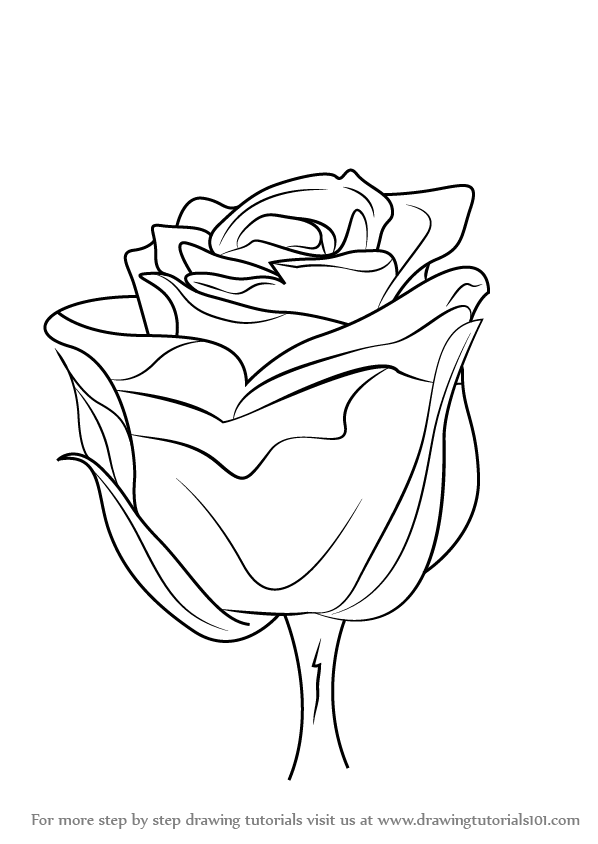 598x844 Step By Step How To Draw A Rose With Stem