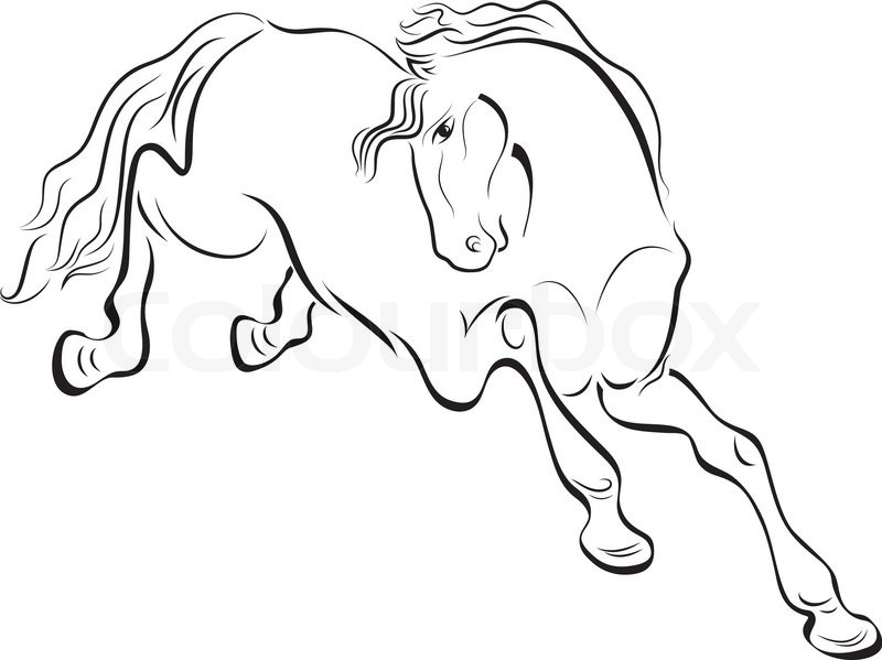 800x599 Black And White Outline Horse Vector Drawing. Stock Vector