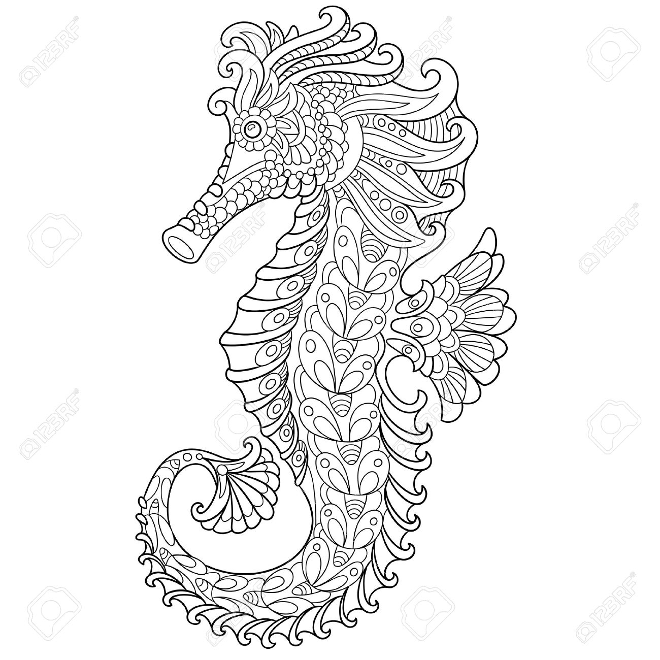 1300x1300 Cartoon Seahorse, Isolated On White Background. Hand Drawn Sketch
