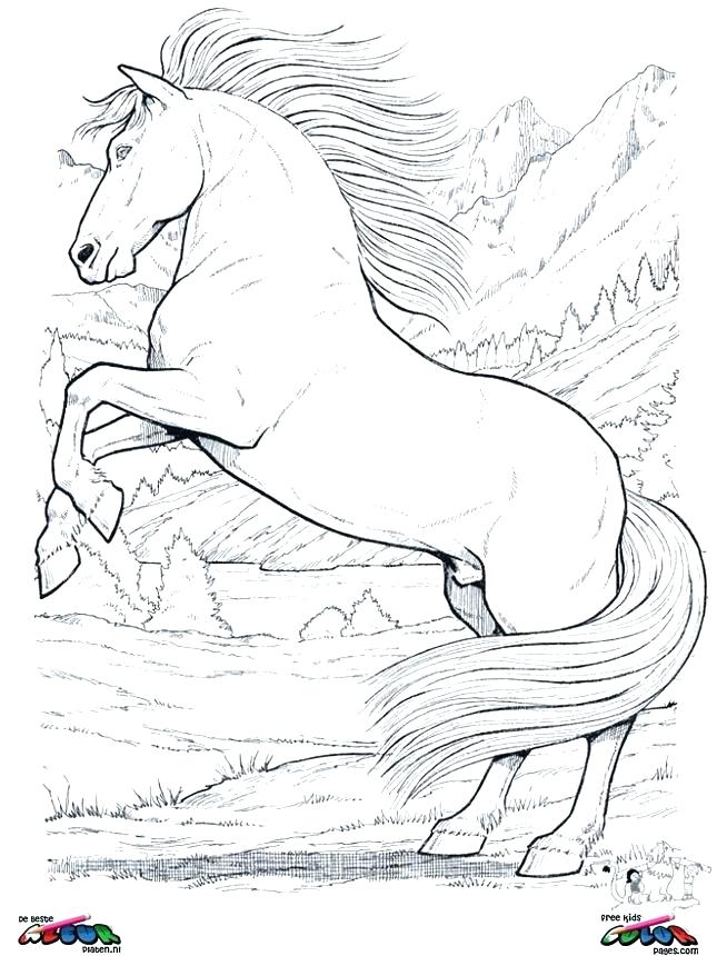 645x860 Horses Coloring Page Coloring Page Horse Detailed Horse Coloring