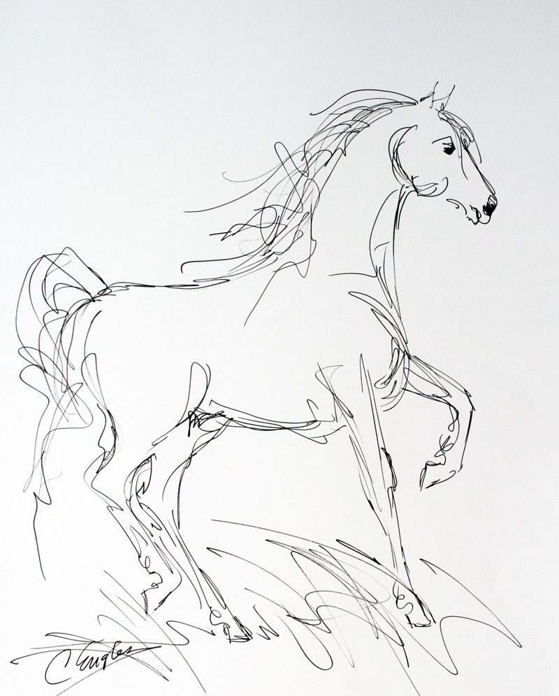 800x995 Saddlebred Horse, Ink Drawing By Carol Engles Original Art
