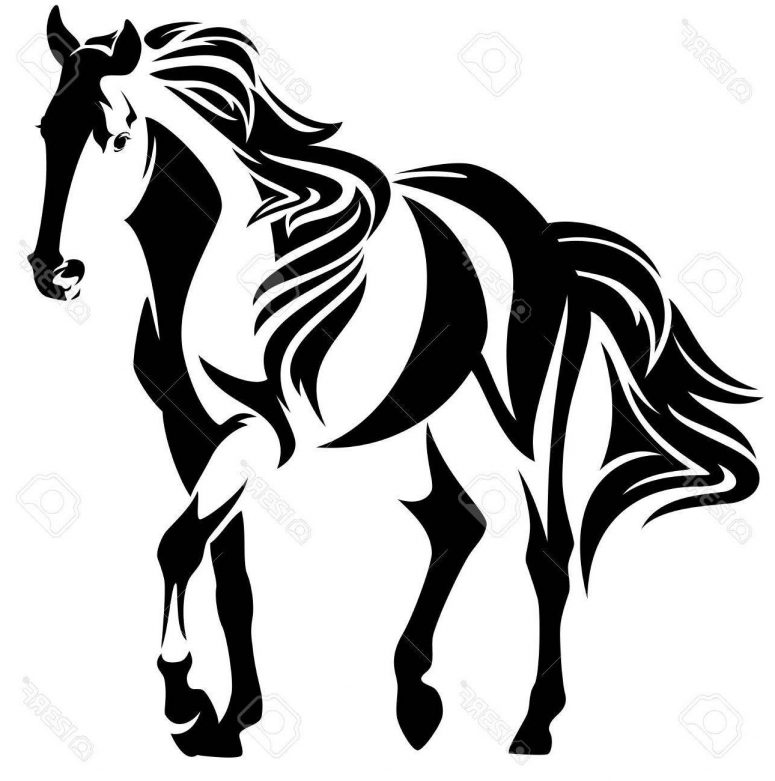 775x781 Best Free Black And White Horse Drawings Vector Image Clip Art