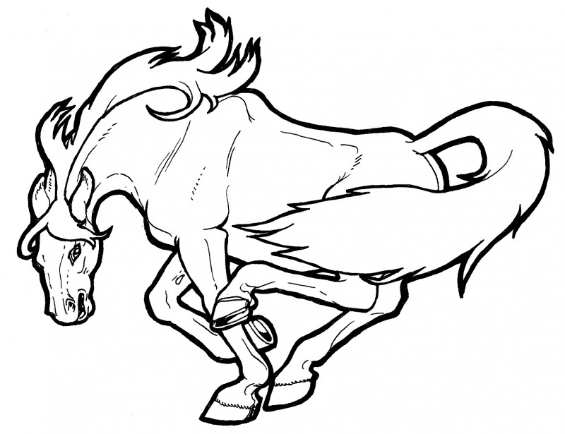 800x615 Coloring Pages Fancy Mustang Horse Coloring Pages Rtlnn55mc