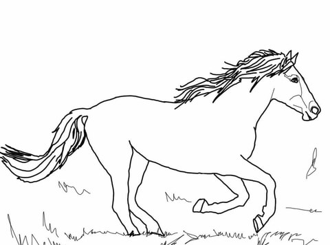 480x356 Running Mustang Coloring Page Free Printable Coloring Pages