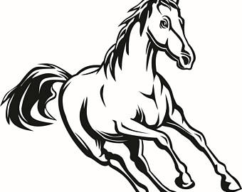 340x270 Stallion Svg Files Etsy