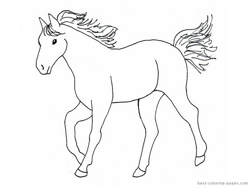 801x600 Horse Drawing For Kids
