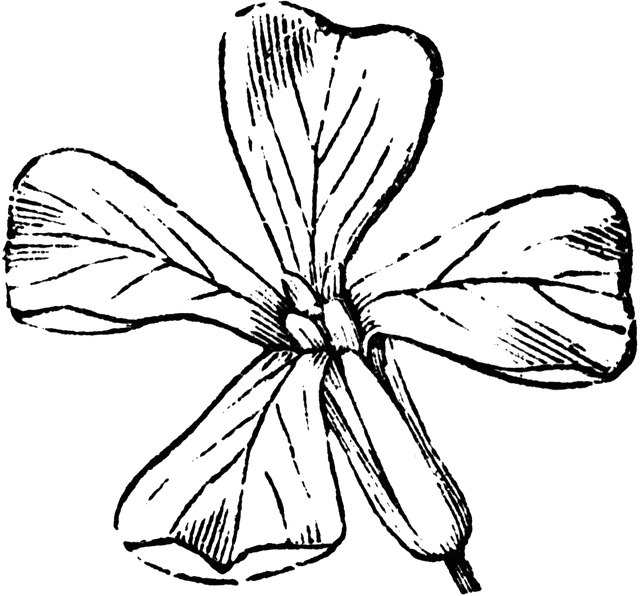 640x596 Mustard Clipart Etc