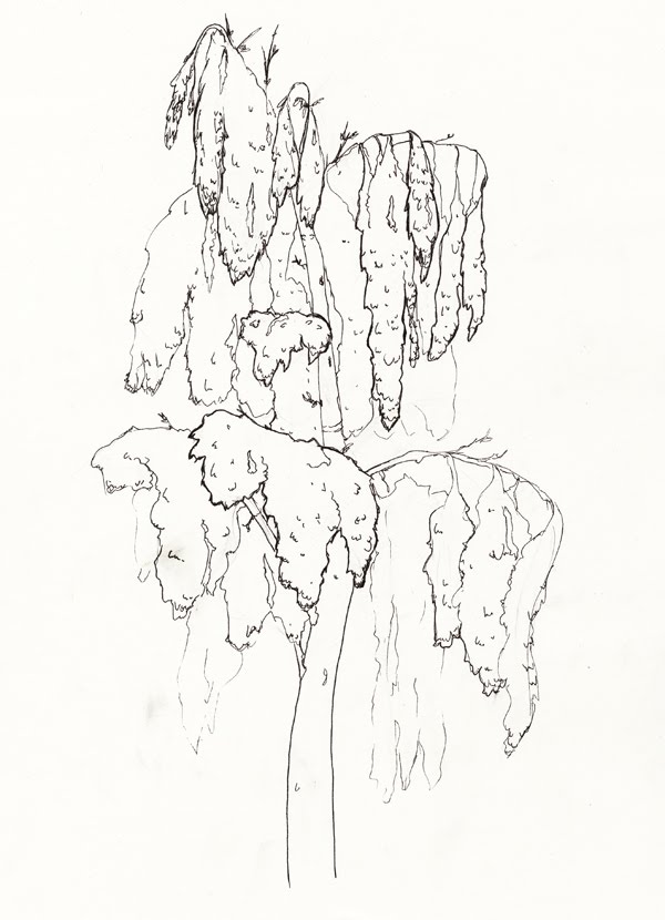 600x830 Bryanna Lindsey