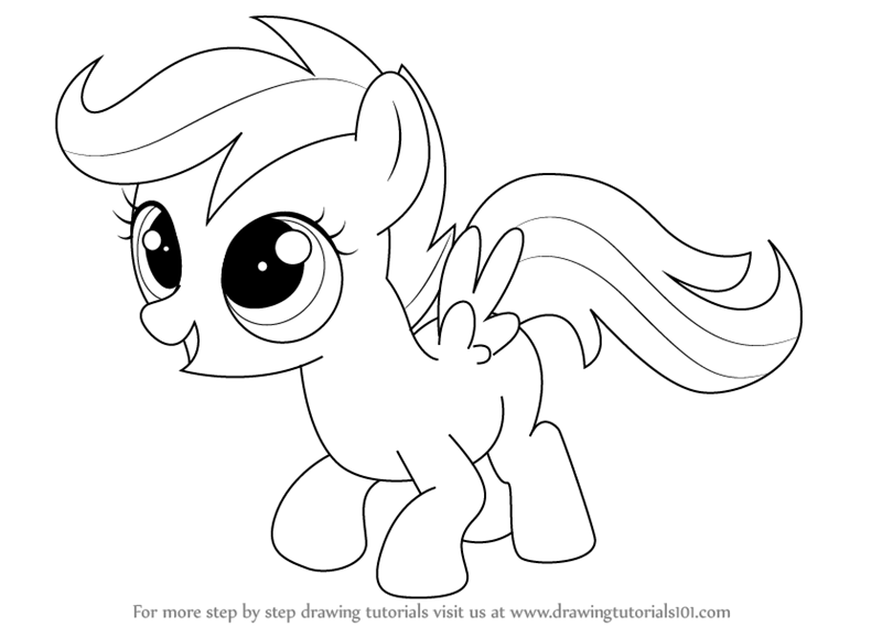 800x569 Learn How To Draw Scootaloo From My Little Pony Friendship Is