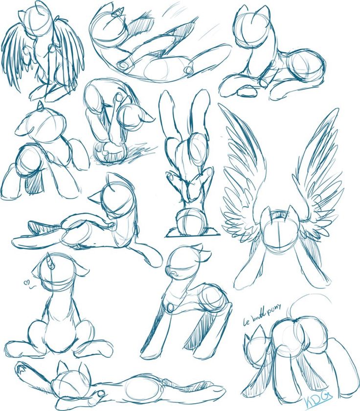 736x842 Pencil Drawing Of My Photo Mlp Ponies Pencil Sketch Re My Little