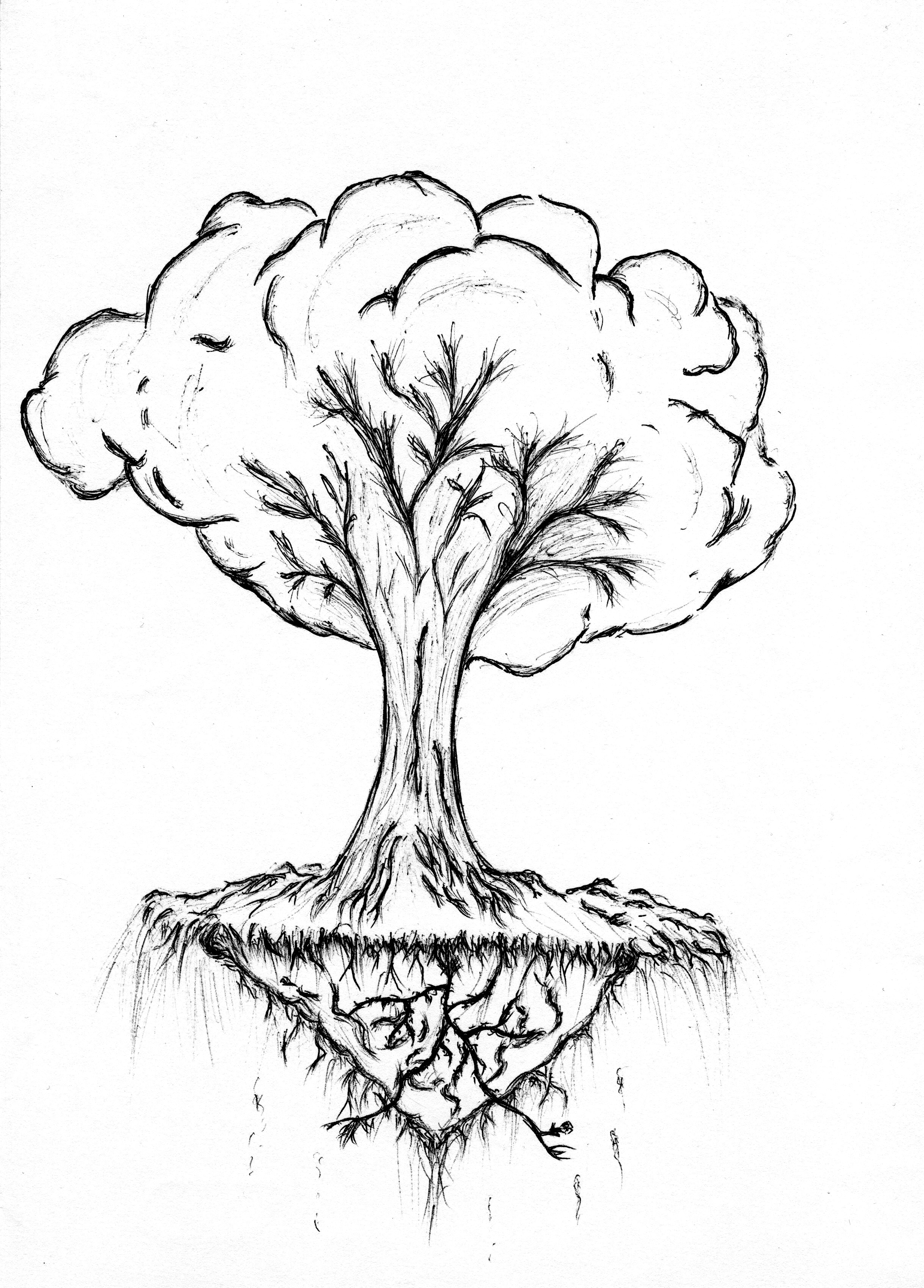 2435x3394 Potential Tree For Scale Basearms Arte