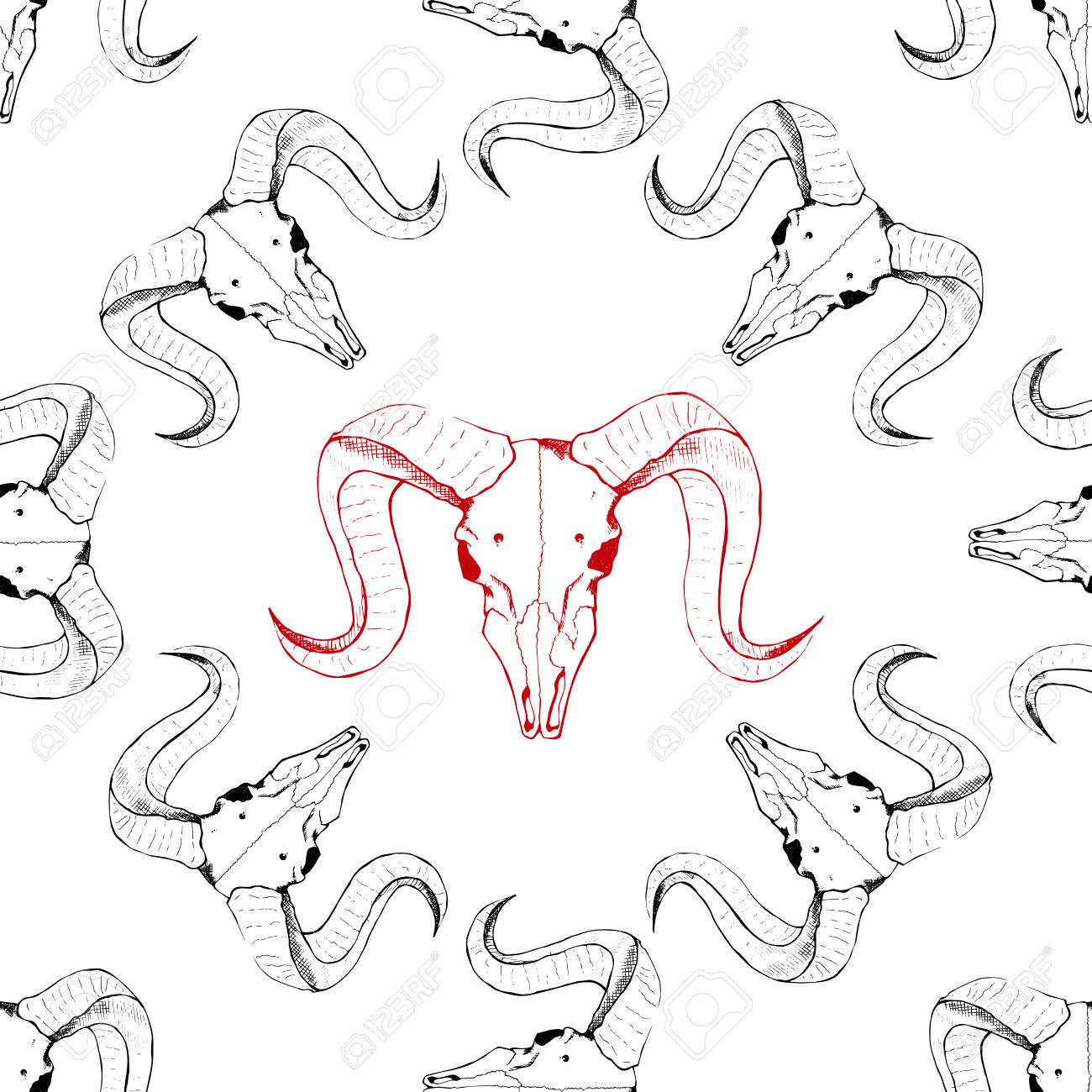 1300x1300 Seamless Pattern With Skulls Of Goat. Line Drawing Of Skulls