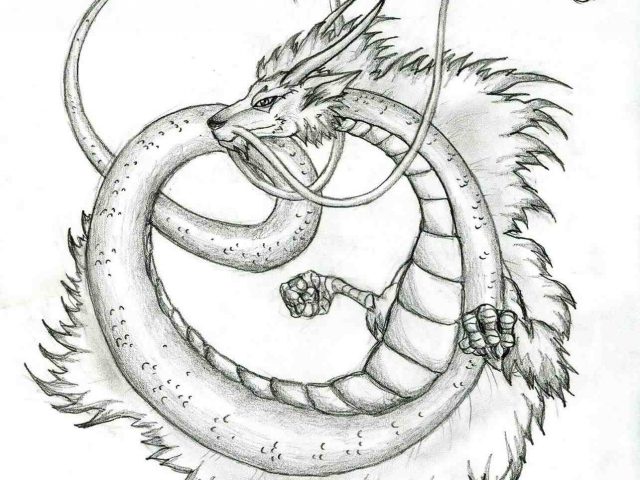 640x480 The Images Collection Of Dragon Sketchus By Katie Pfeilschiefter