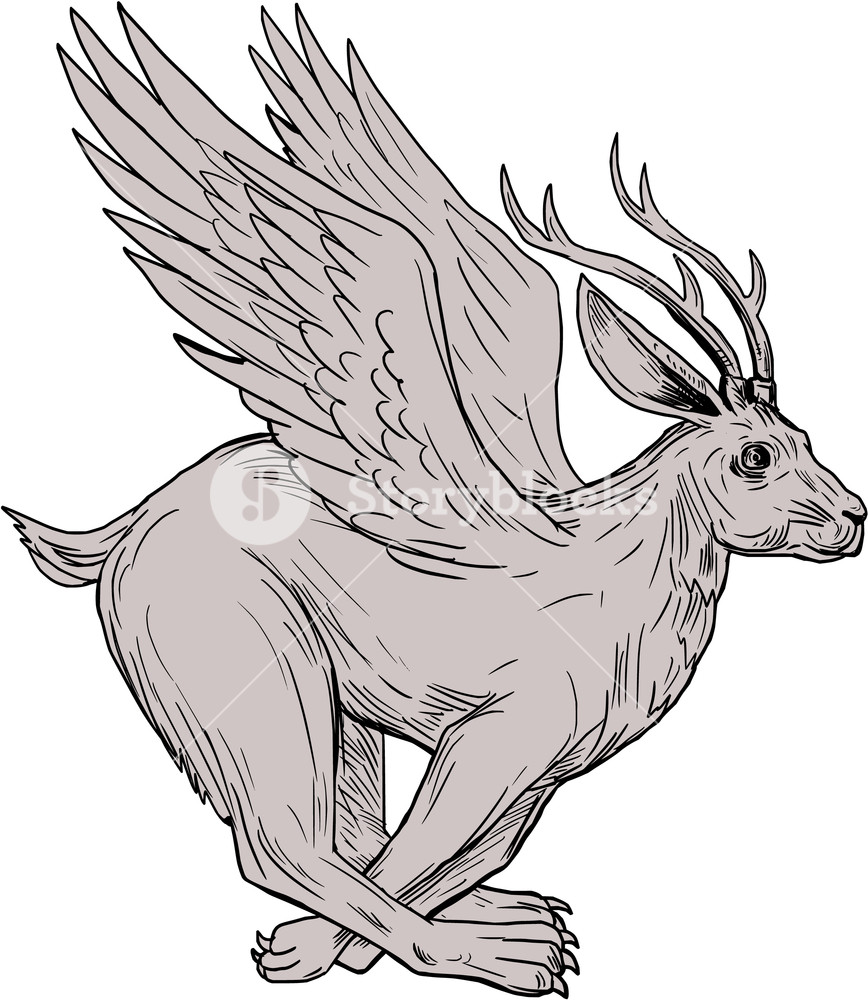 868x1000 Drawing Sketch Style Illustration Of A Wolpertinger, In Bavarian