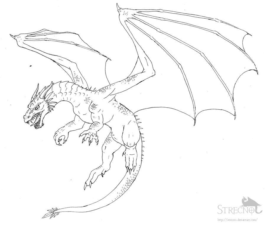 900x761 Flying Dragon Drawing