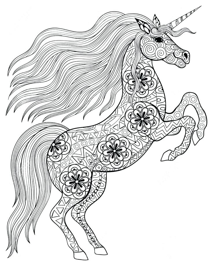 736x920 Mythical Creature Coloring Pages Mermaid With Her Seahorse