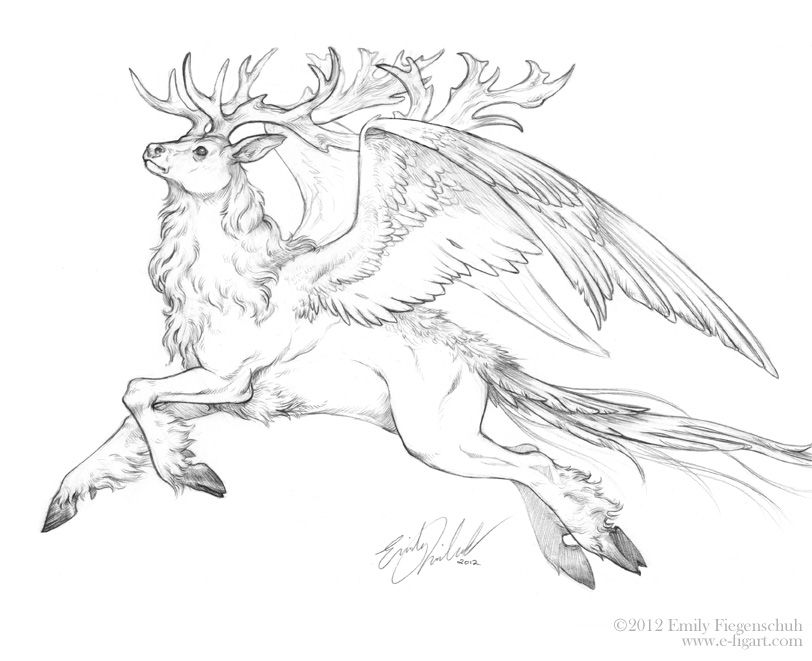 812x661 Mythical Creature Sketches