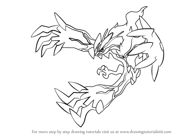 800x566 Learn How To Draw Yveltal From Pokemon (Pokemon) Step By Step