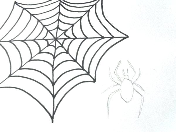 600x451 How To Draw A Spider Web Abundantlifestyle.club