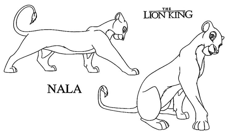 736x441 Nala Lion King