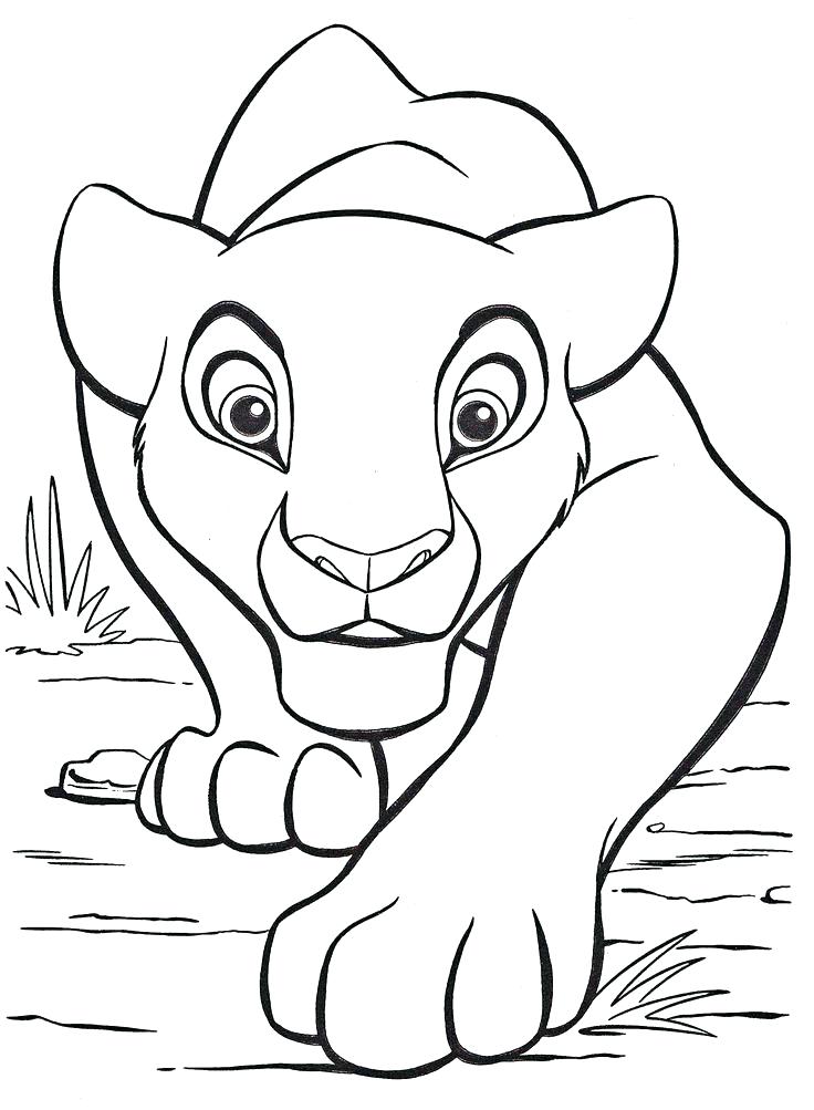 736x1003 Coloring Pages Of Lion Free Printable Male Lion Coloring Page