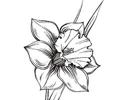 254x199 Image Result For Narcissus Drawing Tattoos Tattoo