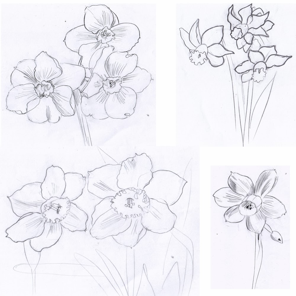 1000x1000 Weekly Doodles And Tuts How To Draw A Narcissusdaffodil