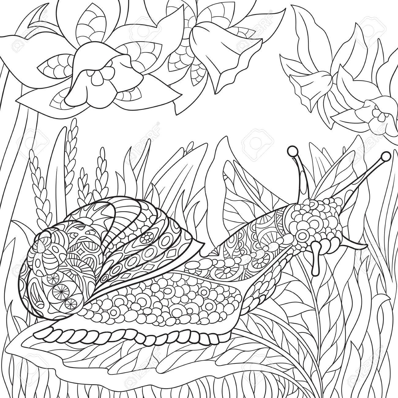1300x1300 Zentangle Stylized Cartoon Snail Crawling Among Narcissus Flowers