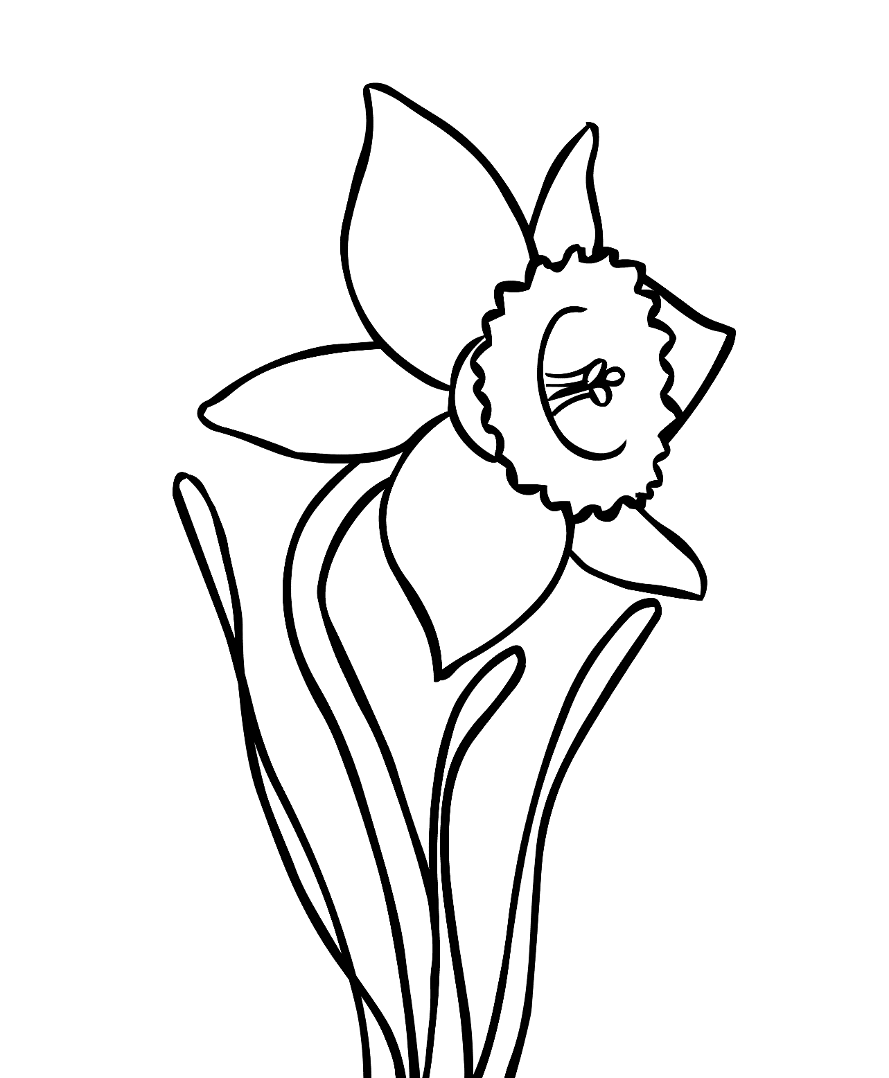 1283x1556 Drawn Daffodil Easy