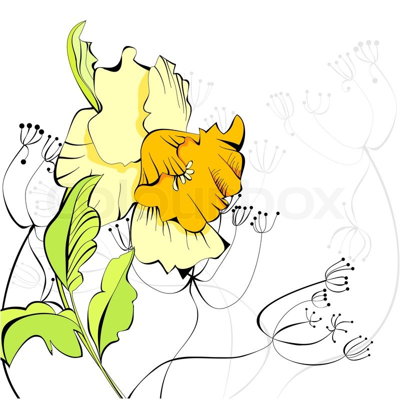 800x800 Floral Background With Narcissus Flower Stock Vector Colourbox