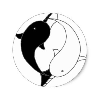 324x324 Cute Cartoon Narwhal Stickers Zazzle