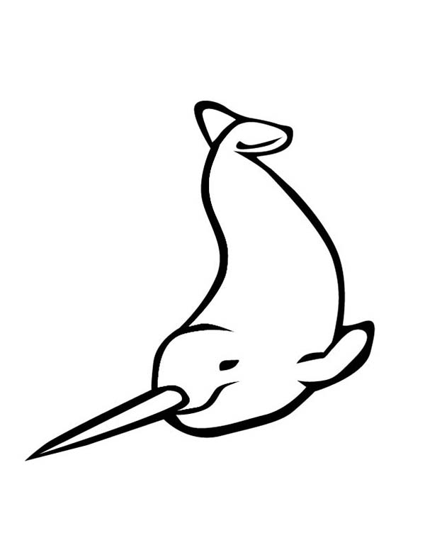 600x776 Narwhal Drawing Coloring Page