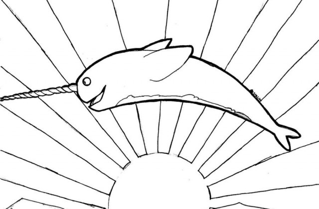 640x420 Tag For Narwhal Drawing Pictures Of Narwhals Part 1. How To Draw